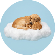 PetHealthCloud badge logo